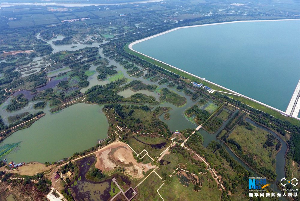 航拍济西湿地:泉城济南生态完整的&ldquo;城市之肾&rdquo;