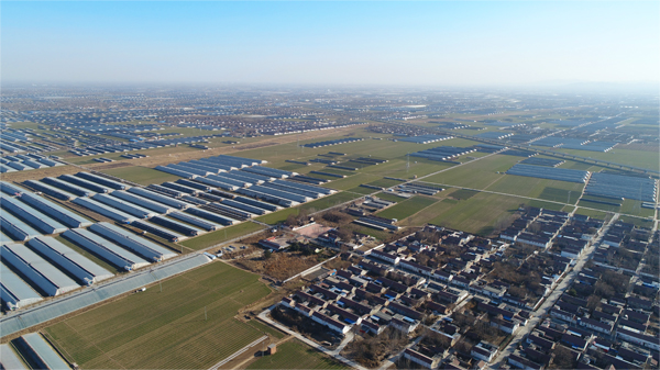 【VR齐鲁相册】全景漫游临淄&ldquo;四好农村路&rdquo;