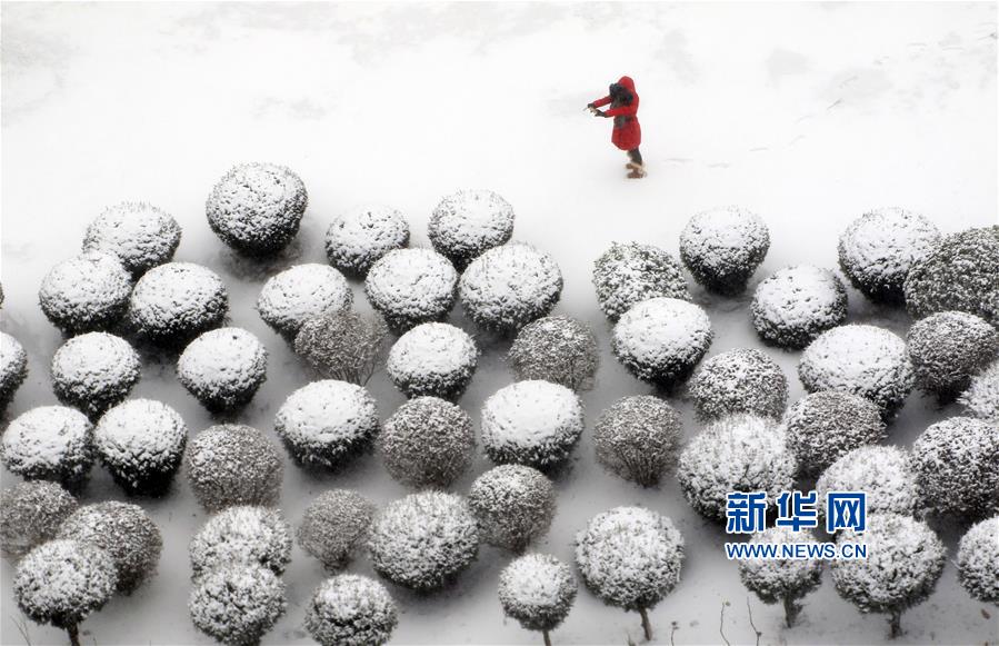 山东烟台：雪&ldquo;蘑菇&rdquo;