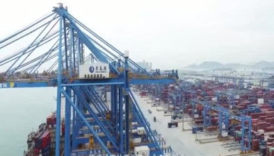 海洋科技看山东：青岛港走向&ldquo;智能路&rdquo;