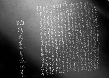 张翼：让微刻增添中国传统书法审美趣味