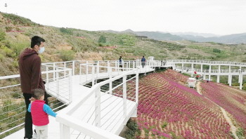 山東淄博：山區遊升溫 有序遊園成風景