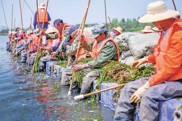 湖上
