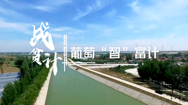 战贫计丨葡萄&ldquo;智&rdquo;富计