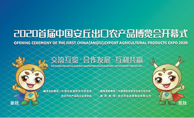 直播|2020首届中国安丘出口农产品博览会开幕式