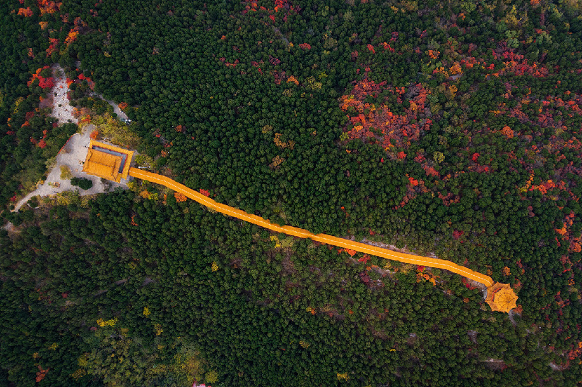 藏于泉城市區裏的幽靜山林