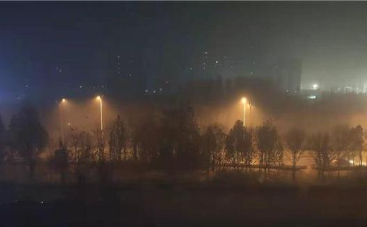 能見度不足50米 當前德州轄區這些高速封閉