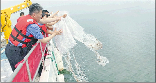 山東萊(lai)州︰投  dou)龐  yu)苗 生態養海
