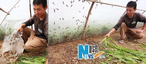 新华网山东频道