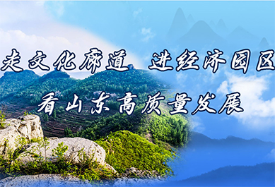 走文化廊道 进经济园区 看山东高质量发展