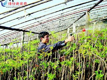 新华网山东临朐频道