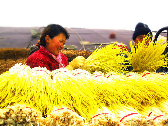 新华网山东频道_县区图片新闻