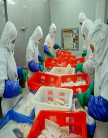 中国农业银行山东省分行--大行德广 伴您成长