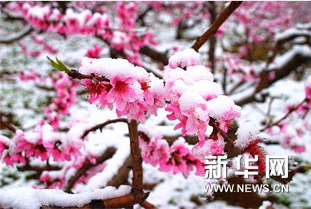 新华网山东气象频道