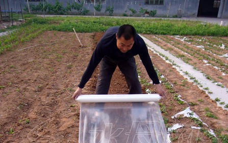 莱阳农民破解地膜污染难题