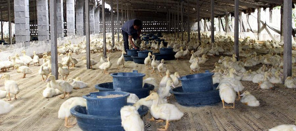 新华网山东频道