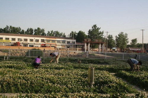 新华网山东气象频道