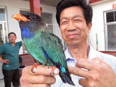 新华网山东莱州频道