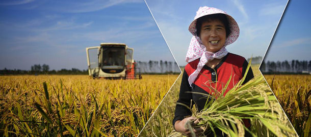 刘洪魁烈士家人返回曲阜 上千民众接英雄回家