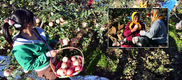 刘洪魁烈士家人返回曲阜 上千民众接英雄回家