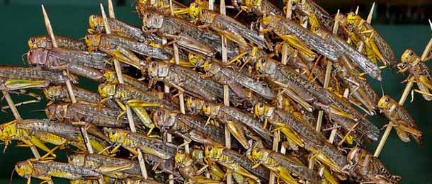 世界各地特色街头小吃