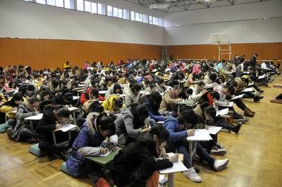 画板上的光阴--美术统考何时降温?