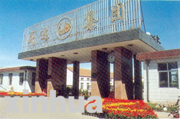 山东2000年经济总量_山东经济管理大学(2)